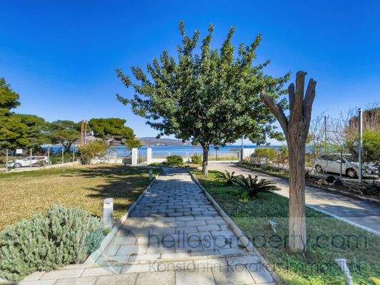 img_b5312f46-653e-413e-95dc-fe5acecccfc5