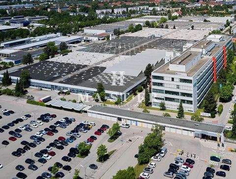 Augsburg Halle, Augsburg Hallenfläche