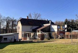 Blick aus dem Garten