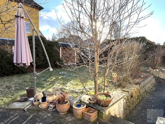 Blick in die winterliche Abendsonne