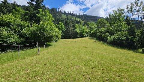 Innerfragant Grundstücke, Innerfragant Grundstück kaufen