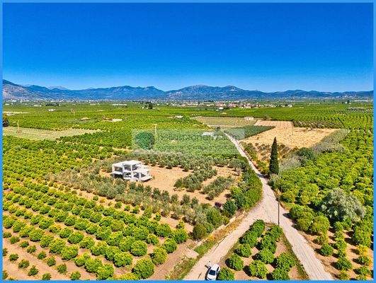 008b0e09fce7407ebee6d2bdf773b24a-original