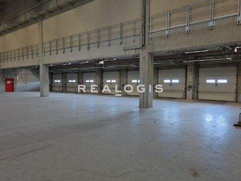 Gaggenau Halle, Gaggenau Hallenfläche