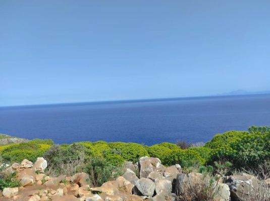 Kreta, Omprogialos: Grundstück mit unverbaubarem Meerblick zu verkaufen