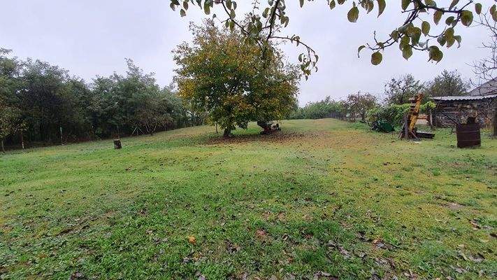 244743950_576749577003837_7572586713103185905_n.jp