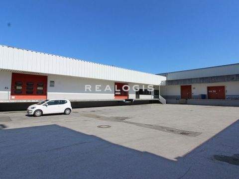 Neuss Halle, Neuss Hallenfläche