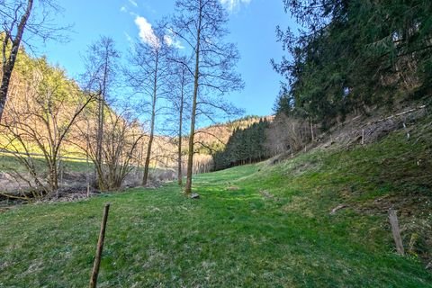 Zell im Wiesental Grundstücke, Zell im Wiesental Grundstück kaufen