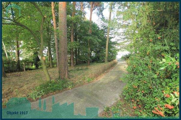 1917 Weg zum Wasser 2.jpg