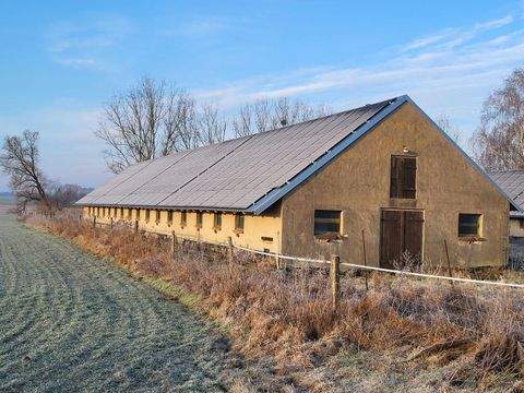 Brandenburg - Gransee Halle, Brandenburg - Gransee Hallenfläche