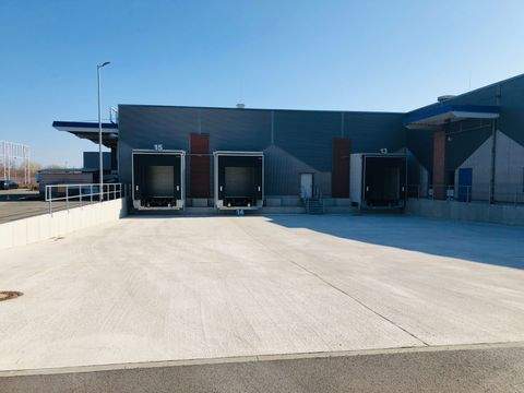 Crimmitschau Halle, Crimmitschau Hallenfläche