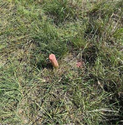 Alle Medien auf dem Grundstück