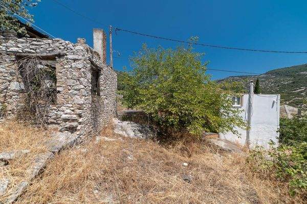 Papatsiaras-Theologos-Kekes 24-07-2024-5.jpg