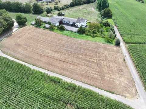 Großostheim Bauernhöfe, Landwirtschaft, Großostheim Forstwirtschaft