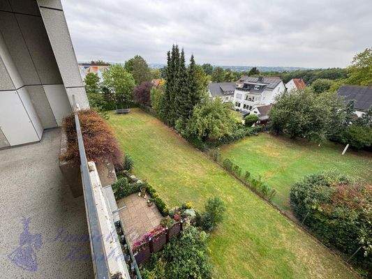 Gemeinschaftsgarten 1.1