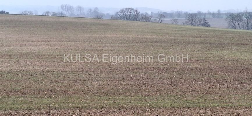 In der Nachbarschaft? Nur Wiesen und Natur