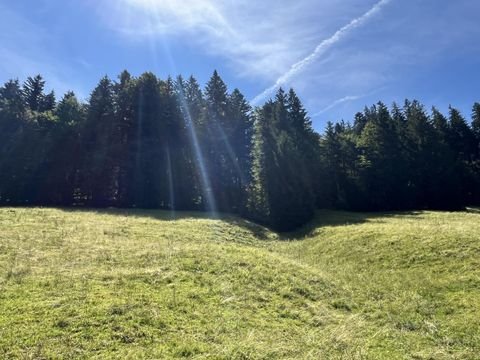 Oberstaufen Bauernhöfe, Landwirtschaft, Oberstaufen Forstwirtschaft