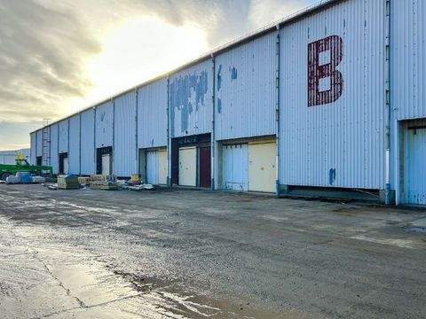 Dresden Halle, Dresden Hallenfläche