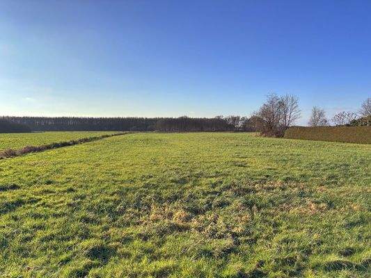 Blick auf das Grundstück