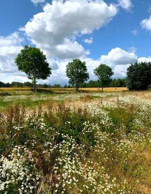 Beste Lage für Ihr Eigenheim