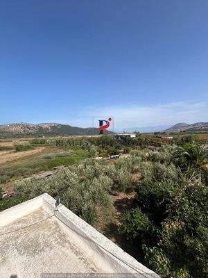 WhatsApp Image 2024-09-06 at 13.20.59 (34).jpeg