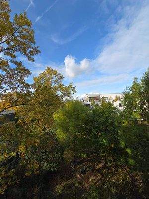 Ausblick Schlafzimmer unten