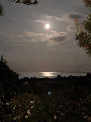 Mond über Wattenmeer