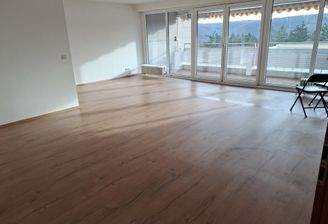 Großer Wohn-Ess-Küchenraum