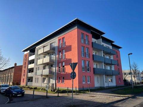 Greifswald Wohnungen, Greifswald Wohnung kaufen