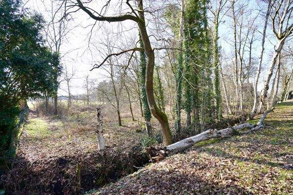 Grundstücksansicht links