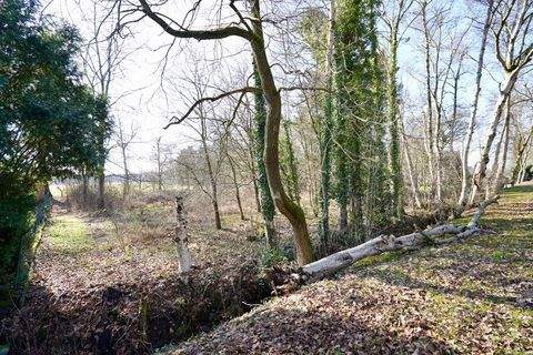 Scheeßel / Westerholz Bauernhöfe, Landwirtschaft, Scheeßel / Westerholz Forstwirtschaft