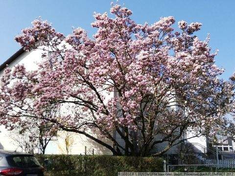 Stutensee Häuser, Stutensee Haus kaufen