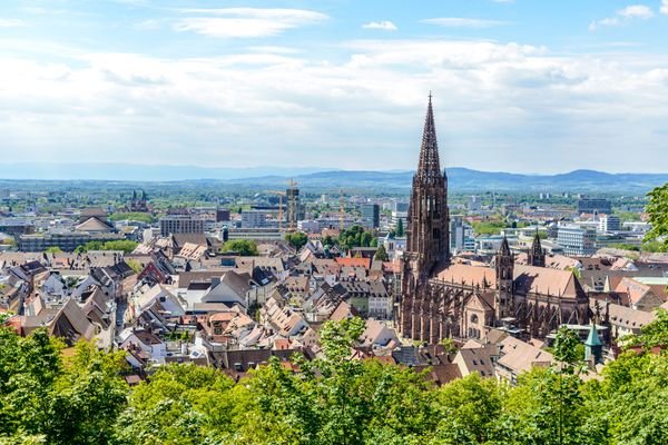 Freiburger Münster