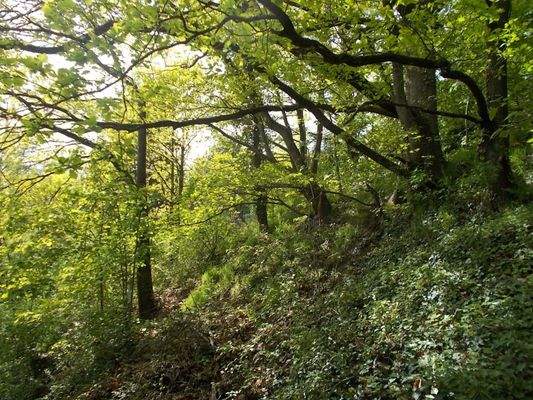 Das Grundstück von unten