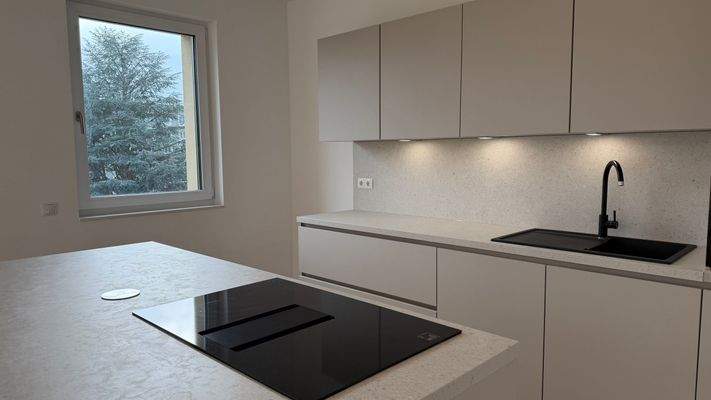 moderne Einbauküche