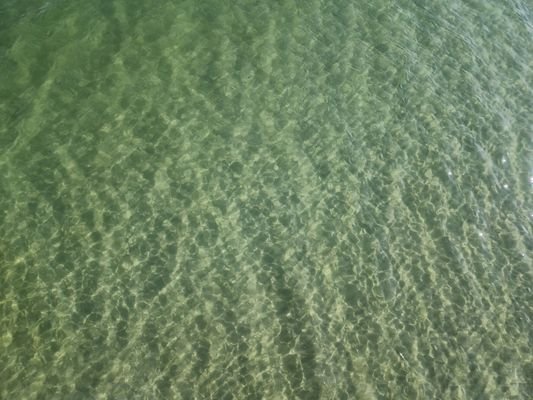 "Karibisches Wasser" in Prerow