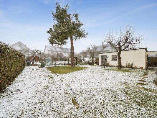 Gemeinschaftsgarten - 2