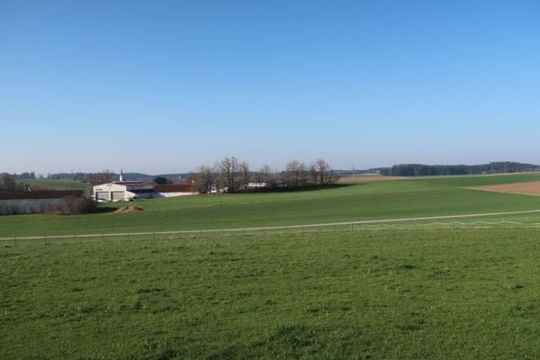 Ausblick