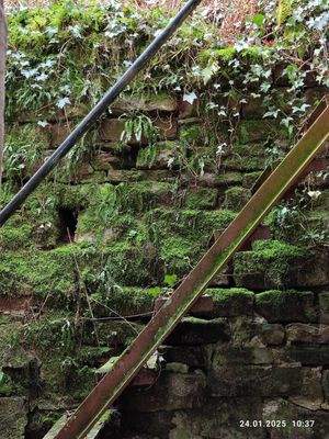 ... Ausblick wie in einem Spa-Bereich