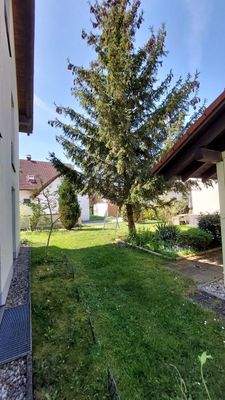 Garten zwischen den Häusern