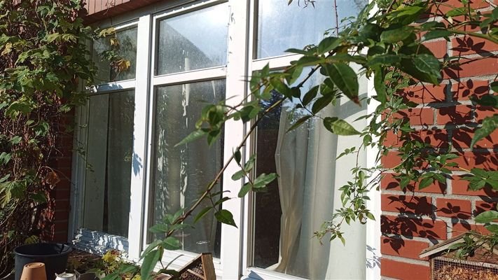 Fensteransicht