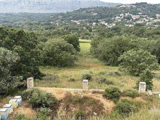 Kreta, Armeni Rethymno: 4 Rohbau-Steinvillen auf großem Grundstück zu verkaufen