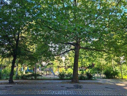 Ausblicke Umgebung b.jpg