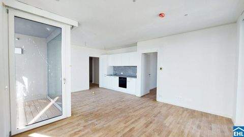 Wien Wohnungen, Wien Wohnung mieten