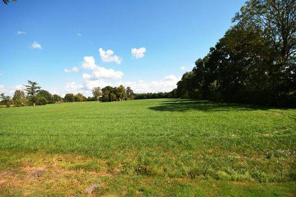 Blick nach hinten raus