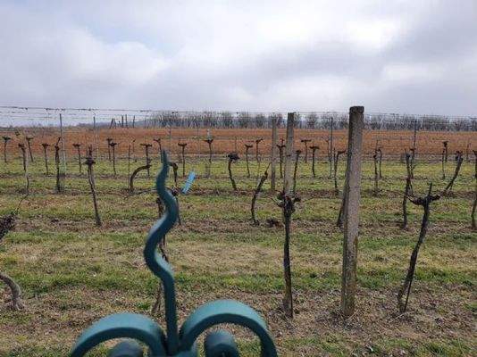 PHOTO-2021-11-27-10-39-35 (25)