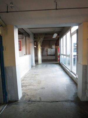 Flur mit Fensterfront  Zugang in alle Hallen + Büro