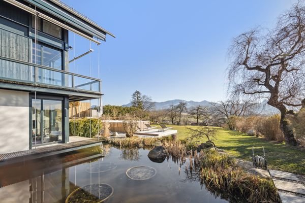 Koi-Teich und Blick ind den Garten