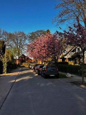 Wohnstraße im Frühling