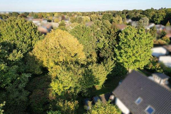 Ansicht des Grundstückes