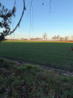 Aussicht
